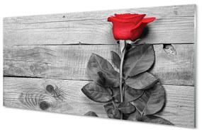Obraz plexi Rose 125x50 cm