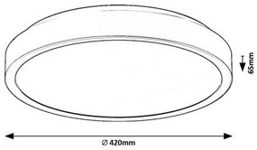 Rabalux SAMIRA LED stropné svietidlo 71254