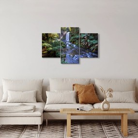 Obraz australského dažďového lesa (90x60 cm)