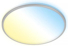 Briloner 3064-014 - LED stmievateľné stropné svietidlo IVY 24W/230V Wi-Fi Tuya, priemer 33,3 cm s diaľkovým ovládačom