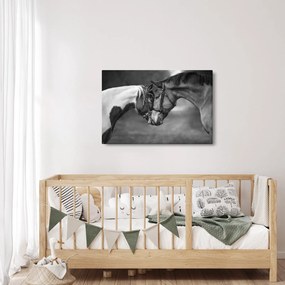 Obraz - Zamilované kone, čiernobiela (90x60 cm)