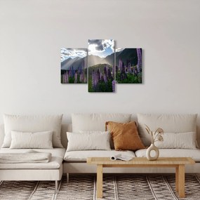 Obraz - Scenérie vlčích bôbov (90x60 cm)