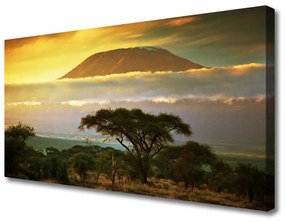 Obraz na plátne Strom hory príroda 120x60 cm