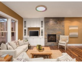 Globo 41374-24R - LED RGBW Stmievateľné stropné svietidlo BRANZA LED/24W/230V + DO