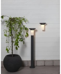 Eglo 900244 - LED vonkajšia solárna lampa s pohybovým senzorom 6xLED/0,03W/3,7V IP44