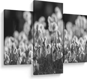 Obraz - Letná lúka (90x60 cm)