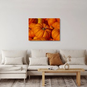 Sklenený obraz - Veľké tekvice (70x50 cm)