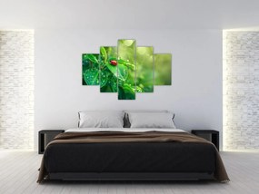 Obraz - Lienka (150x105 cm)