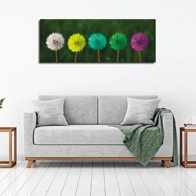 Obraz na plátne Dandelions PC93 30x80 cm