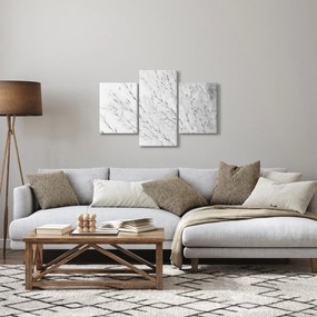 Obraz - Pampas grass N⁰2 (90x60 cm)