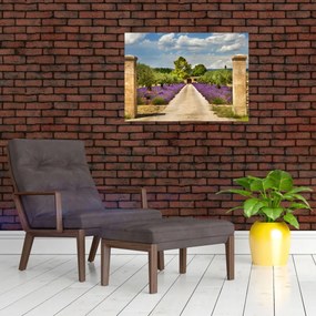Sklenený obraz - Levanduľové cesty (70x50 cm)