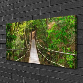 Obraz Canvas Most džungľa tropický les 125x50 cm