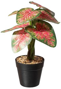 Gasper Umelá rastlina Caladium, červená-zelená, 30 cm