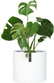 Fox & Fern Gendt, kvetináč, fiberstone, interiér/exteriér