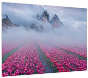Sklenený obraz - Krajina s tulipánovými poľami (70x50 cm)