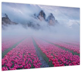 Sklenený obraz - Krajina s tulipánovými poľami (70x50 cm)