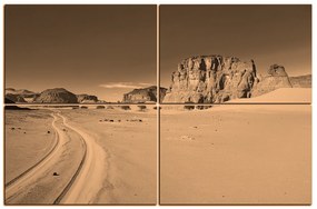 Obraz na plátne - Cesta v púšti 1129FE (120x80 cm)