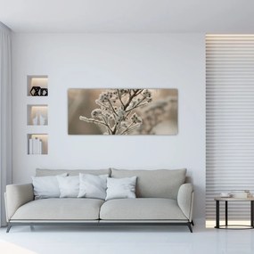Obraz - Rastlina v mraze (120x50 cm)