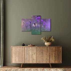 Obraz - Motýľ v levanduli (90x60 cm)