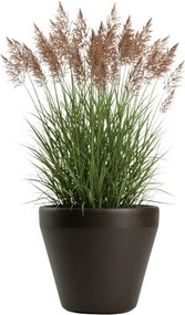 Plastový květináč Purea 49,4x55,4 cm mokka hnědý