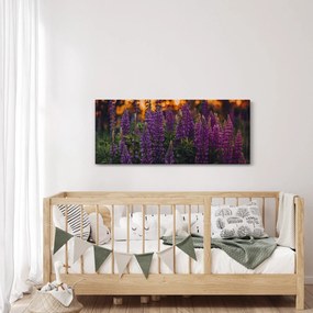 Obraz kvetov vlčieho bôbu (120x50 cm)