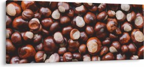 Obraz - Zrelé gaštany (120x50 cm)