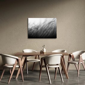 Obraz - Tráva vo vetre (70x50 cm)