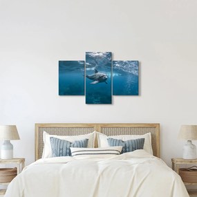 Obraz - Delfín pod hladinou (90x60 cm)