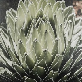 Obraz tlačený na plátne 70x70 PRC1035