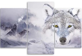 Obraz na plátně třídílný Šedý vlk Cloud Forest Mountain - 120x80 cm