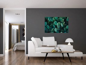 Obraz - Opuncie (90x60 cm)