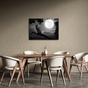 Obraz - Nočná sova, čiernobiela (70x50 cm)