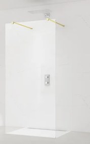 Sprchová zástena SAT Walk-in 60 cm SATBWI60PRMO