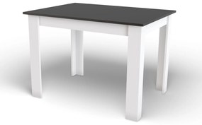 Dekorstudio Jedálenský stôl SCANDI 120x80cm - Bielo čierny