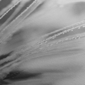 Obraz - Púpava (120x50 cm)