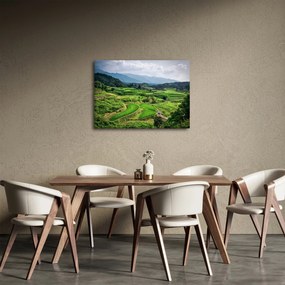 Obraz ryžových polí (70x50 cm)