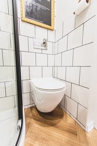 Laveo Desna, závesná WC misa Rimless 485x370x320 mm + toaletné sedadlo, biela lesklá, LAV-VMD_600S