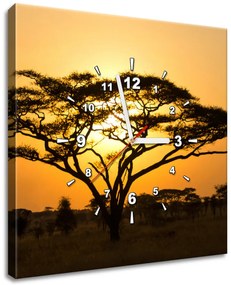 Gario Obraz s hodinami Akácia v Serengeti Rozmery: 40 x 40 cm