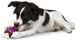 Bouncy Bone™ S hračka pre psov