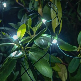 DECOLED Svetelná sieť LED Hobby Line, 2x 1,5 m, ľadovo biela, 90 diód