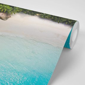 Samolepiaca fototapeta pobrežie Seychely - 300x200