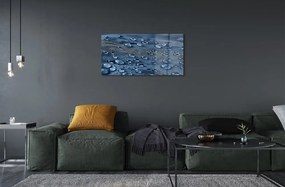 Obraz na skle Vodné kvapky makro 125x50 cm