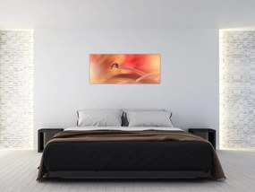 Obraz kvetinové kvapky rosy (120x50 cm)