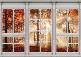 Fototapeta - Jesenné zobrazenie okna - les (254x184 cm)
