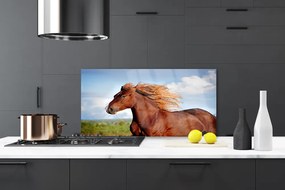 Nástenný panel  Kôň zvieratá 125x50 cm