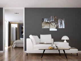 Obraz - Vlci v zime (90x60 cm)
