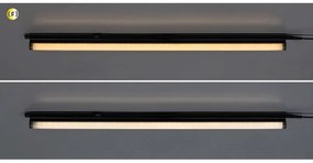 Rabalux 78016 - LED Podlinkové svietidlo BAREG LED/20W/230V 3000/4000K čierna