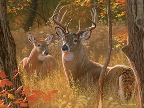 Cobble Hill Puzzle Tajné stretnutie XL 275 dielikov