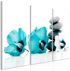 Artgeist Obraz - Calm Mallow (3 Parts) Turquoise Veľkosť: 90x60, Verzia: Premium Print
