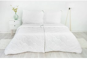 Luxusný celoročný set ALOE VERA MEDIC 200x220/2x70x90 cm